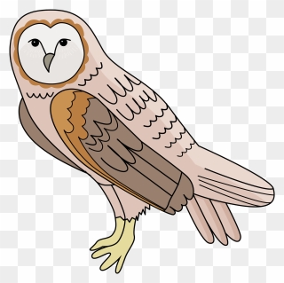 "  	 Src="https - Free Clipart Barn Owl - Png Download